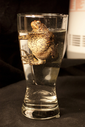 5794386560_c72448b95b